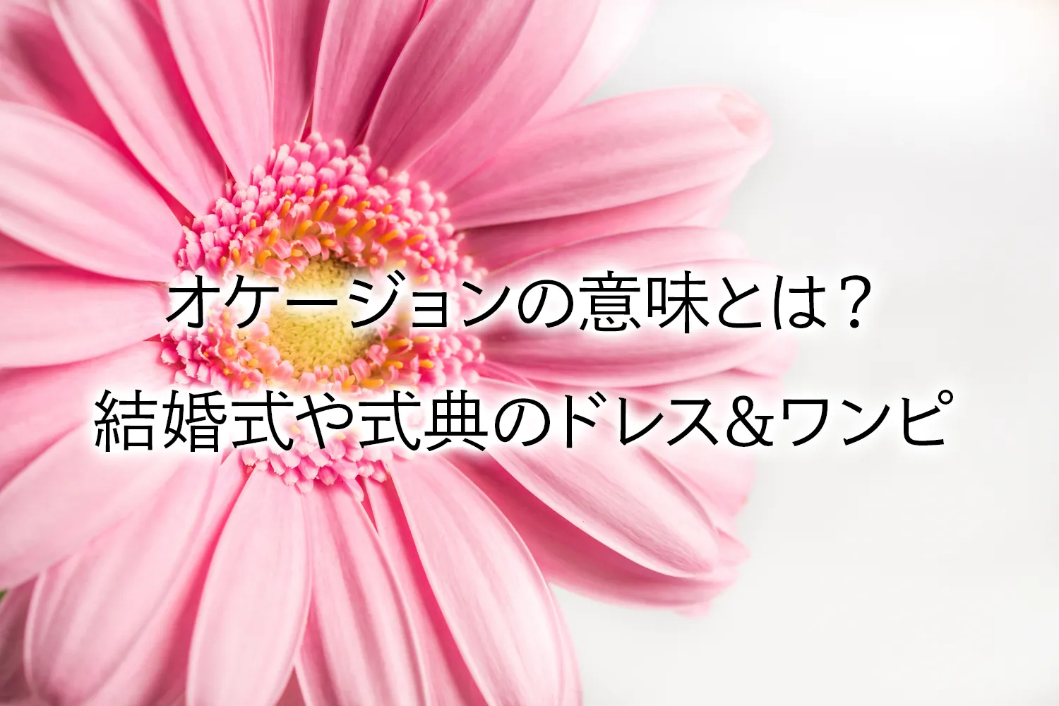 オケージョンの意味は？結婚式や卒業式のドレス&ワンピース